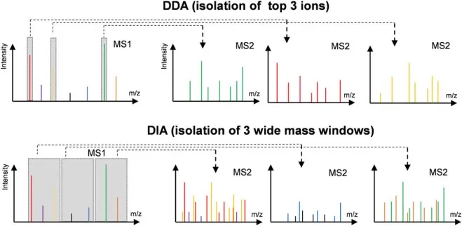 Difference in MS1 isolation windows for the DDA and DIA modes